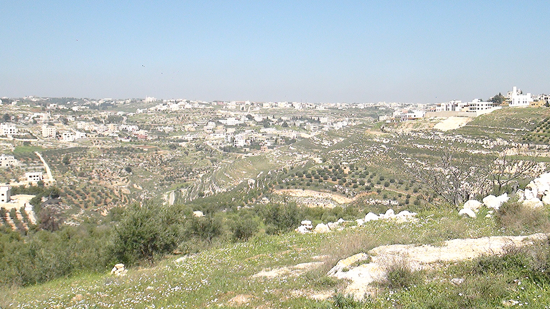 ArrealestateResolution